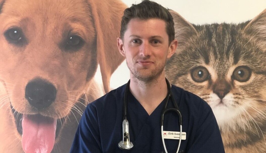 Veterinær Eirik Svendsen. Veterinær Eirik Svendsen.