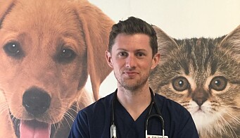 Eirik Svendsen er veterinær og mener det er viktig at hundeeiere gjør forberedelser før de kjøper en hund. Eirik Svendsen er veterinær og mener det er viktig at hundeeiere gjør forberedelser før de kjøper en hund.