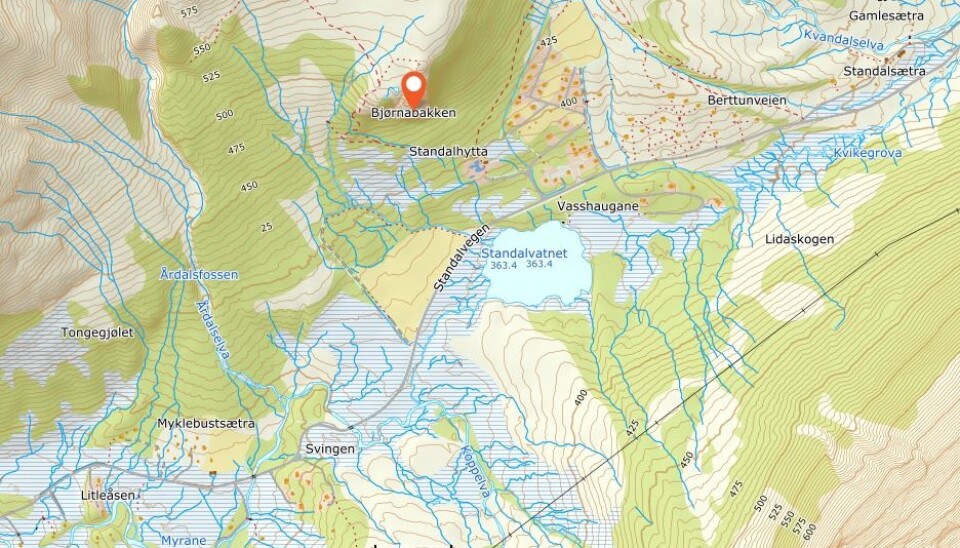 Fjellnakken i Ørsta har både blitt kalt Bjørnabakken, Bjørnanakken og Bjønnanakken. Nå er saken på høring. Fjellnakken i Ørsta har både blitt kalt Bjørnabakken, Bjørnanakken og Bjønnanakken. Nå er saken på høring.