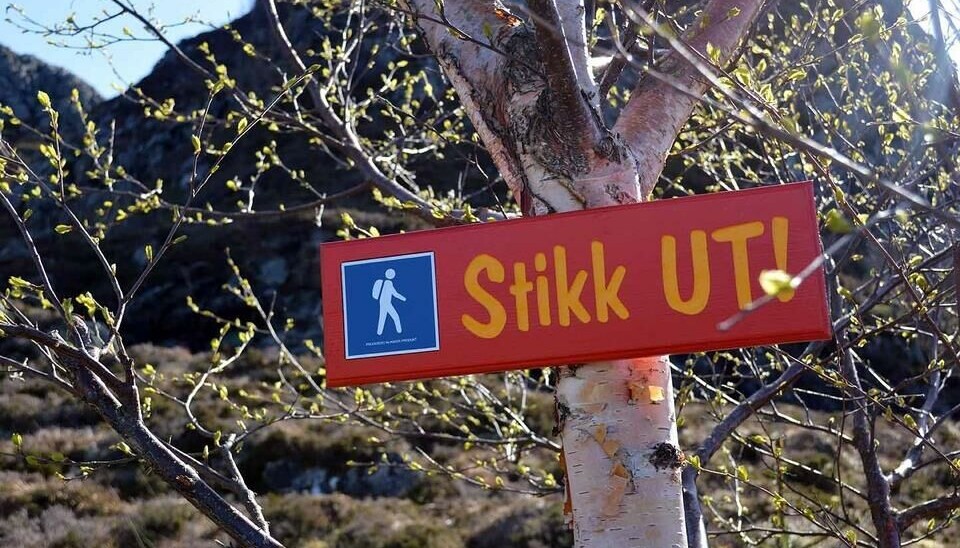 STIKK UT! turene blir mer og mer populært. STIKK UT! turene blir mer og mer populært.