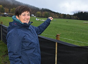 LEDER: Leder i Vestre Sunnmøre Gjeterhundlag, Anne Katrin Melle forklarer øvelsene mens konkurransen foregår. LEDER: Leder i Vestre Sunnmøre Gjeterhundlag, Anne Katrin Melle forklarer øvelsene mens konkurransen foregår.