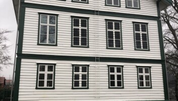 Malte vinduer: Noen av vinduene på trebygget er malt på. Malte vinduer: Noen av vinduene på trebygget er malt på.