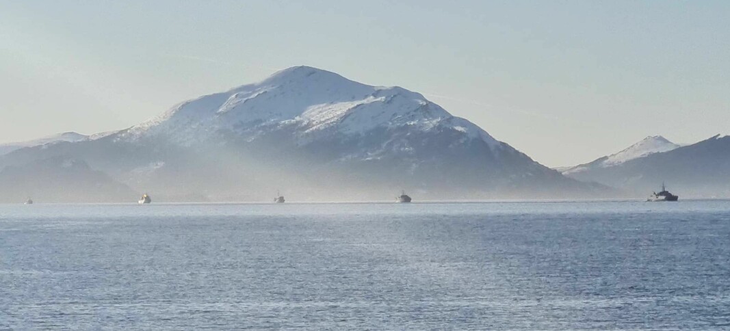 Her kommer krigsskipene inn fjorden
