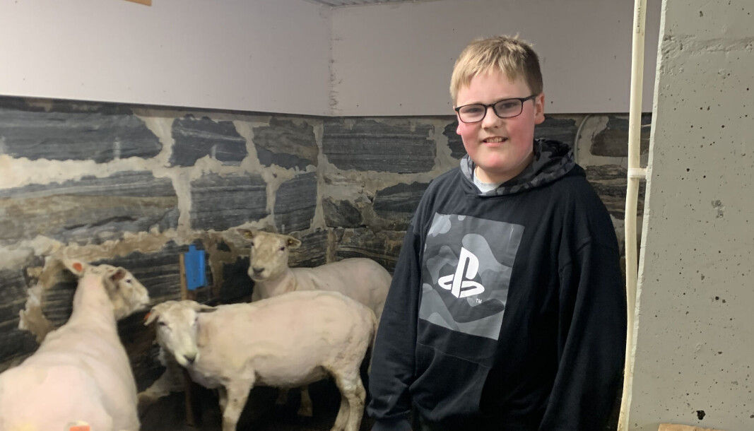 VIL BLI BONDE: Simon er allerede med på å klippe sau. VIL BLI BONDE: Simon er allerede med på å klippe sau.