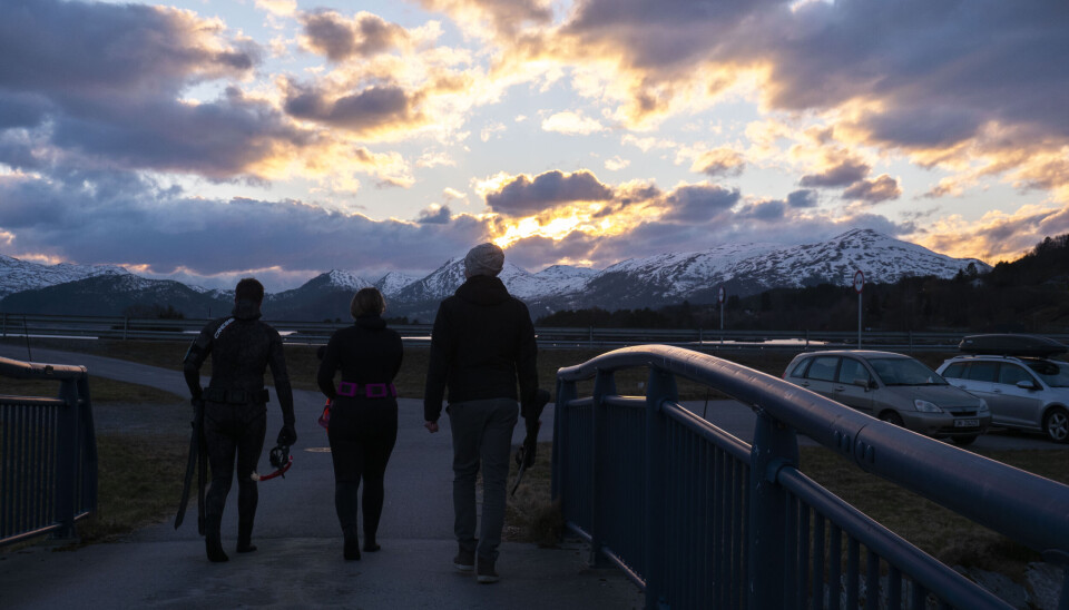 SØRE SUNNMØRE: Her er det vakkert både over og under vassoverflata