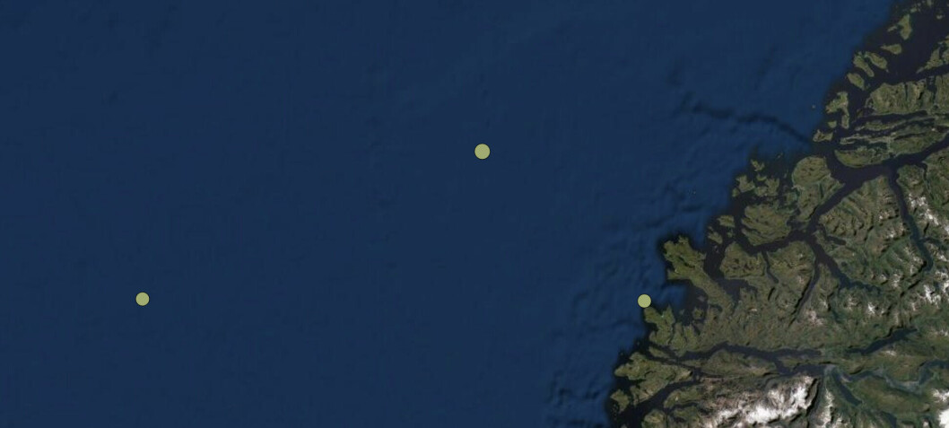 Kraftig jordskjelv fra Nordsjøen