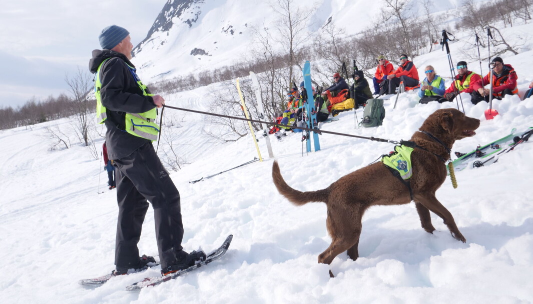 PUSTER LETTET UT: Per Gunnar Engetrøen var lettet etter at hunden Aika klarte å finne et menneske i snøen. Hunden, som egentlig var konas, er godkjent for bruk i lavine. PUSTER LETTET UT: Per Gunnar Engetrøen var lettet etter at hunden Aika klarte å finne et menneske i snøen. Hunden, som egentlig var konas, er godkjent for bruk i lavine.