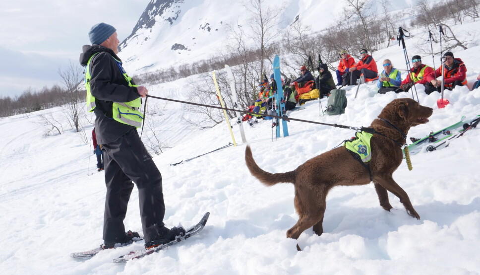 PUSTER LETTET UT: Per Gunnar Engetrøen var lettet etter at hunden Aika klarte å finne et menneske i snøen. Hunden, som egentlig var konas, er godkjent for bruk i lavine.