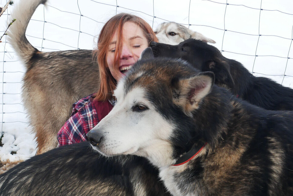 GLADE SAMBOERE: Opal bruker mye tid i hundegården rett utenfor huset. GLADE SAMBOERE: Opal bruker mye tid i hundegården rett utenfor huset.