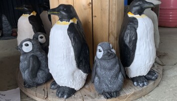 PINGVINER: Nydal har heldigvis flere pingviner i garasjen.