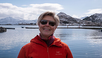 SPENT: Brit Synnøve Våge er sækretær for Sandsøya idrettslag og med på å arrangere løpet. I bakgrunnen er topp 1 og 2 i Sjutoppsturen. SPENT: Brit Synnøve Våge er sækretær for Sandsøya idrettslag og med på å arrangere løpet. I bakgrunnen er topp 1 og 2 i Sjutoppsturen.
