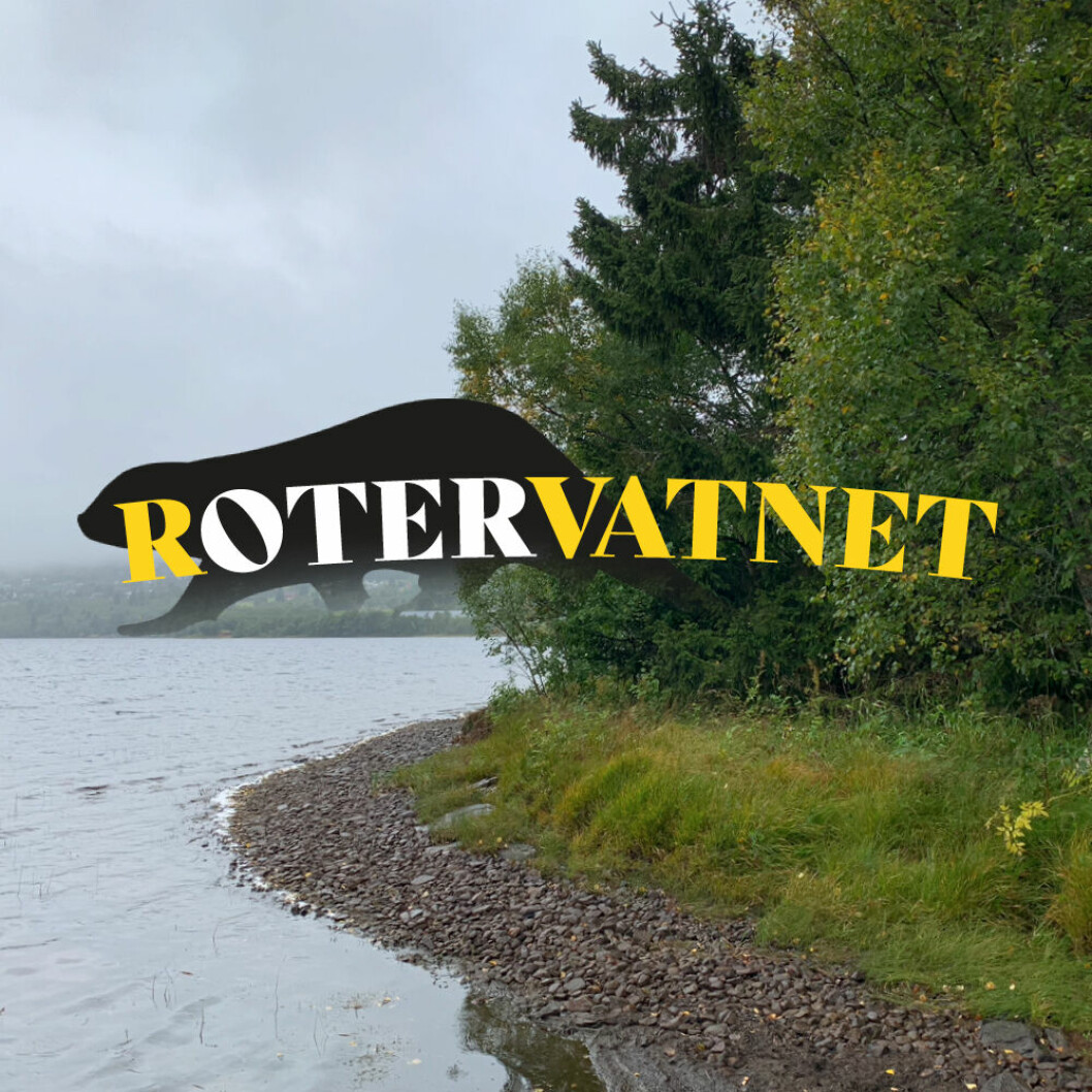I podkasten Rotervatnet leter Fredrik Nygaard etter en oter som satte en stopper for en tursti rundt hele Rotevatnet.