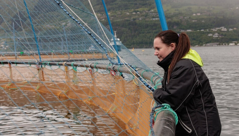 FRYKTER KONSEKVENSENE: Monica Molvær er fylkesleder i Høyre og frykter hva de økte skattene kan bety for oppdrettsnæringen. FRYKTER KONSEKVENSENE: Monica Molvær er fylkesleder i Høyre og frykter hva de økte skattene kan bety for oppdrettsnæringen.
