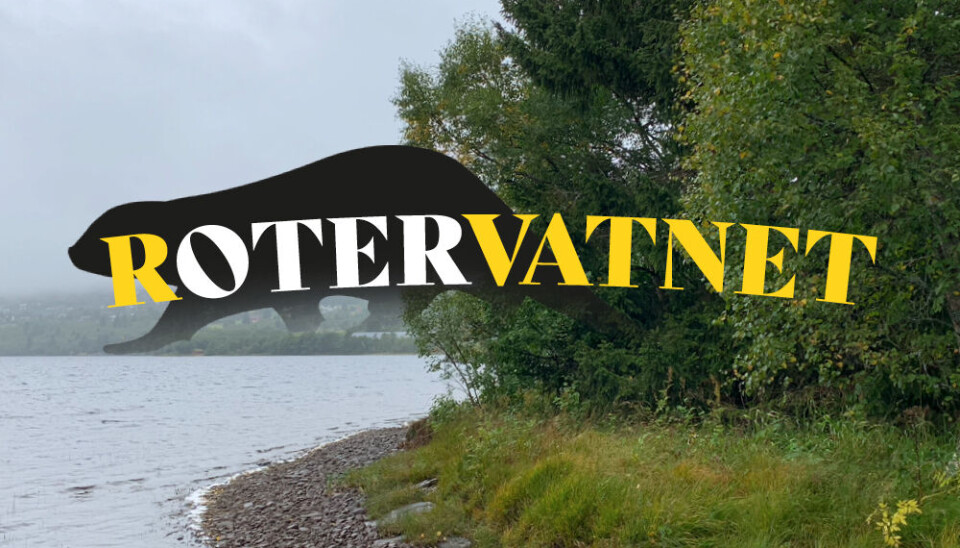 RoterVatnet