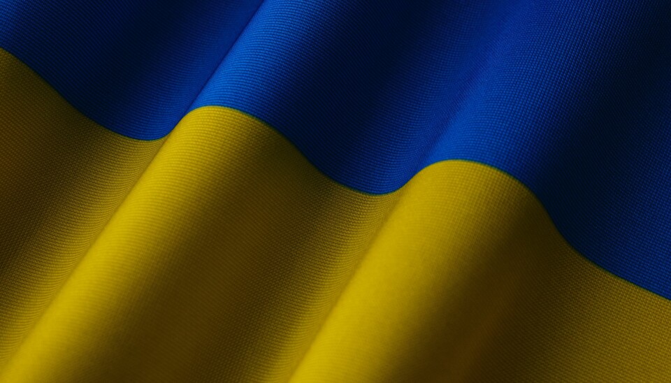 UKRAINA: Markeringen skjer på fredag.