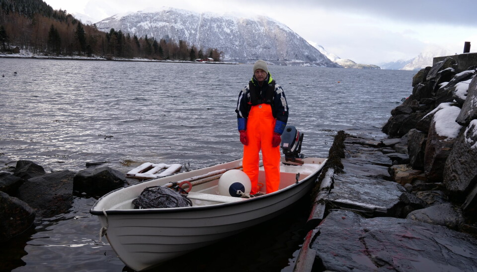 UT PÅ TUR: Oddvin Bjerkvik fisker titt og ofte i Voldsfjorden. I garnet får han oppdrettstorsk rømt fra oppdrettsanlegget i nærheten til hjemstedet, som han lenge advarte mot.