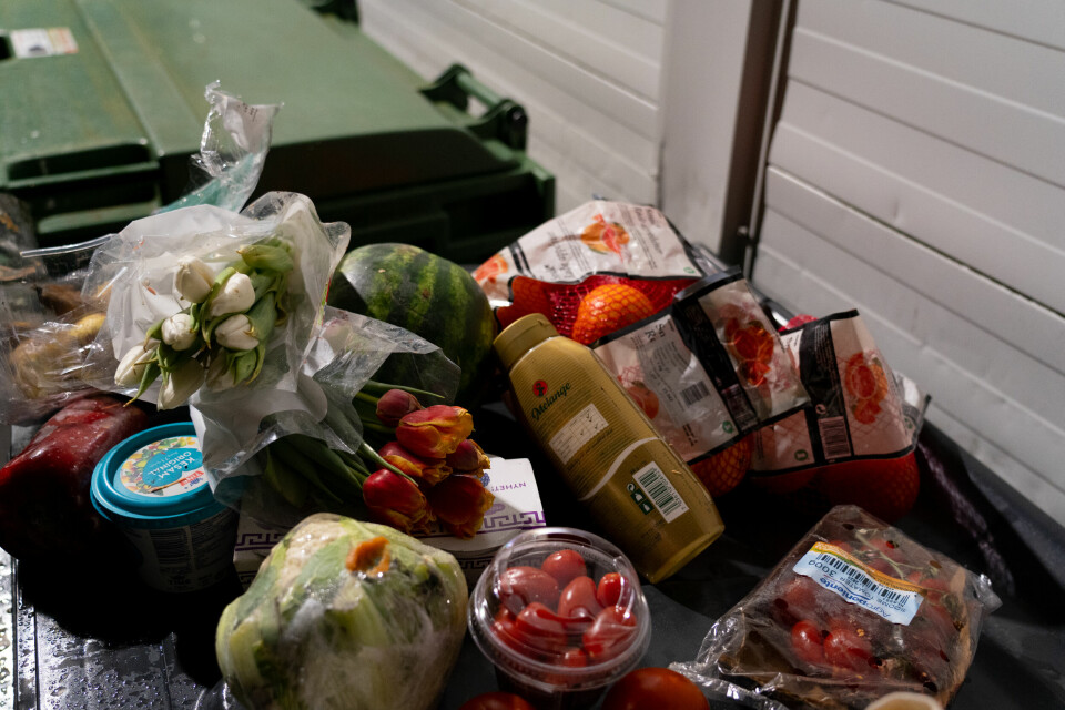 MAT TIL HELE UKA: I søppelkassen har damene funnet mye brukbar mat.
