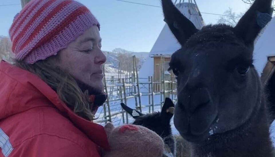 VELKOMST: Eier Aina og lamaen Linus Martinus er klare til å ta imot nye gjester.