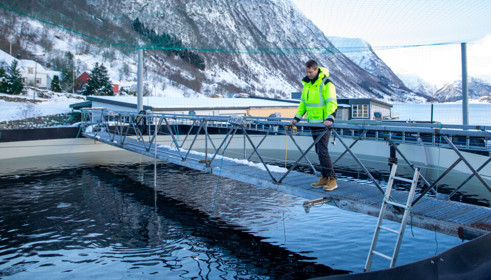 UTENDØRS: Daglig leder, Tomas Holte ser utover bassenget fylt med smolt.