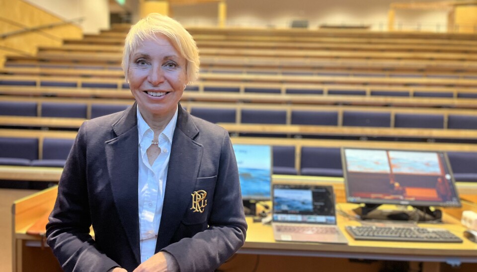 FAGDIREKTØR: Sissel Rogne
