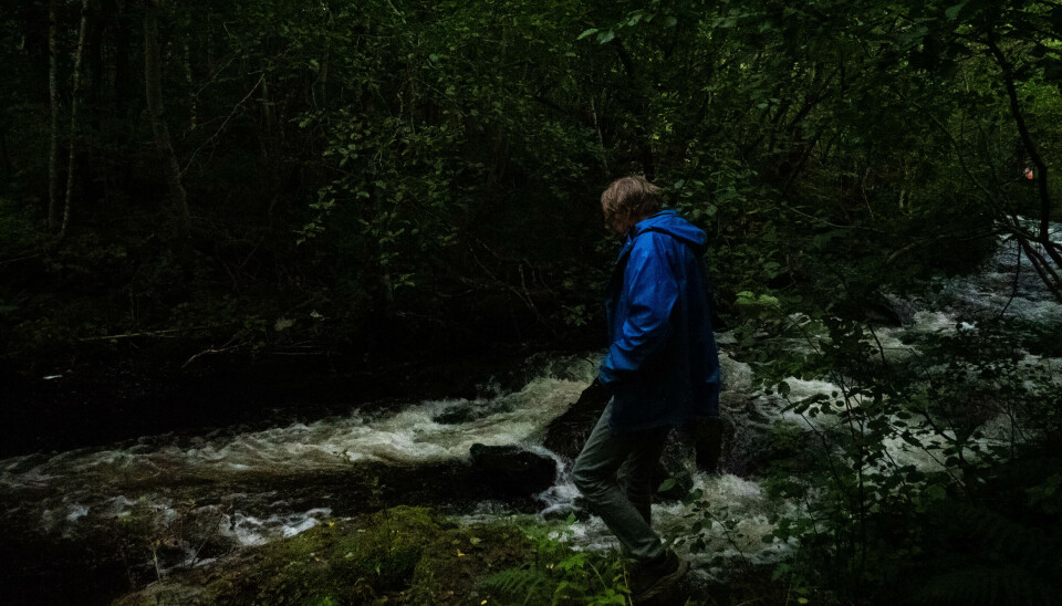KJÆR - Øyraelva har Naturvernforbundet i Ørsta og Volda arbeidet mye for å bevare. KJÆR - Øyraelva har Naturvernforbundet i Ørsta og Volda arbeidet mye for å bevare.