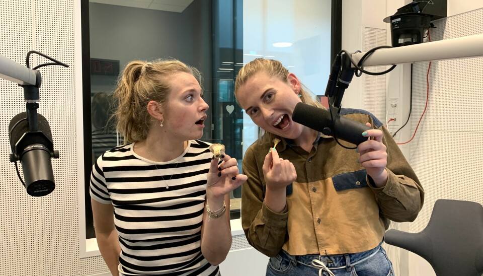 Programlederne Ingrid Aanonsen Hagaseth og Borghild Kvæven fikk testet soppkusnnskapene sine i studio i dagens ettermiddagsending (men uten å spise dem!).