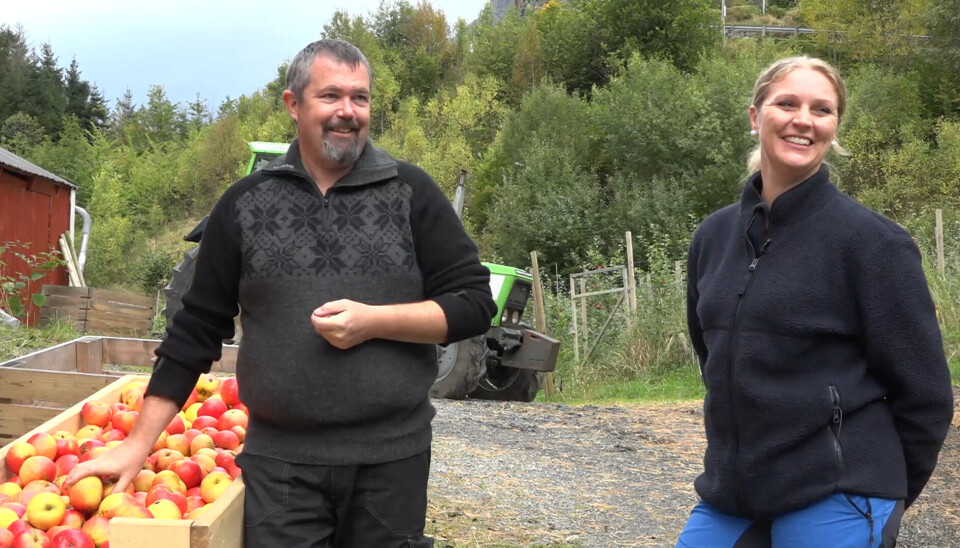 GODT SAMARBEID: Ekteparet Inga og Espen jobber foreløpig alene på gården, men får god hjelp av familie og venner. GODT SAMARBEID: Ekteparet Inga og Espen jobber foreløpig alene på gården, men får god hjelp av familie og venner.