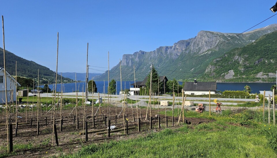 UTSIKT: Frode har god utsikt til Syvdsfjorden fra gården sin på Eidså. UTSIKT: Frode har god utsikt til Syvdsfjorden fra gården sin på Eidså.