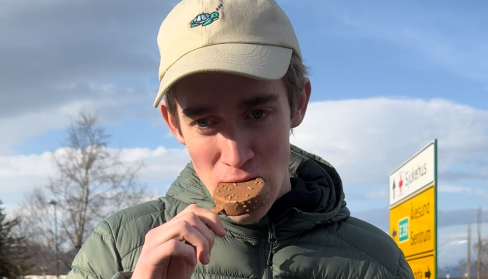 MMMMM: Det slår aldr feil med is på en solrik dag.