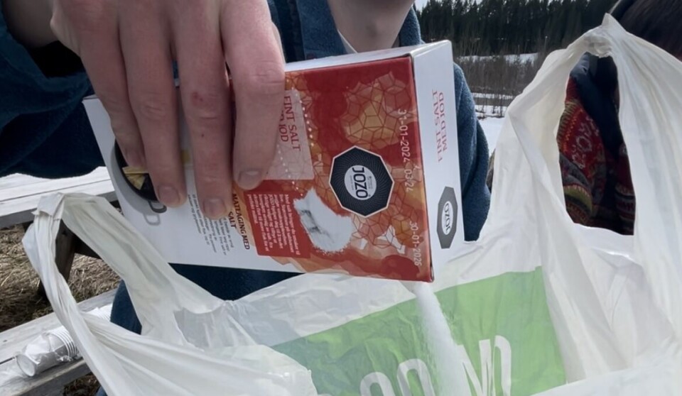 SALT: Salt og snø gjer at det blir kaldt og er med i prosessen når fløte blir til is.