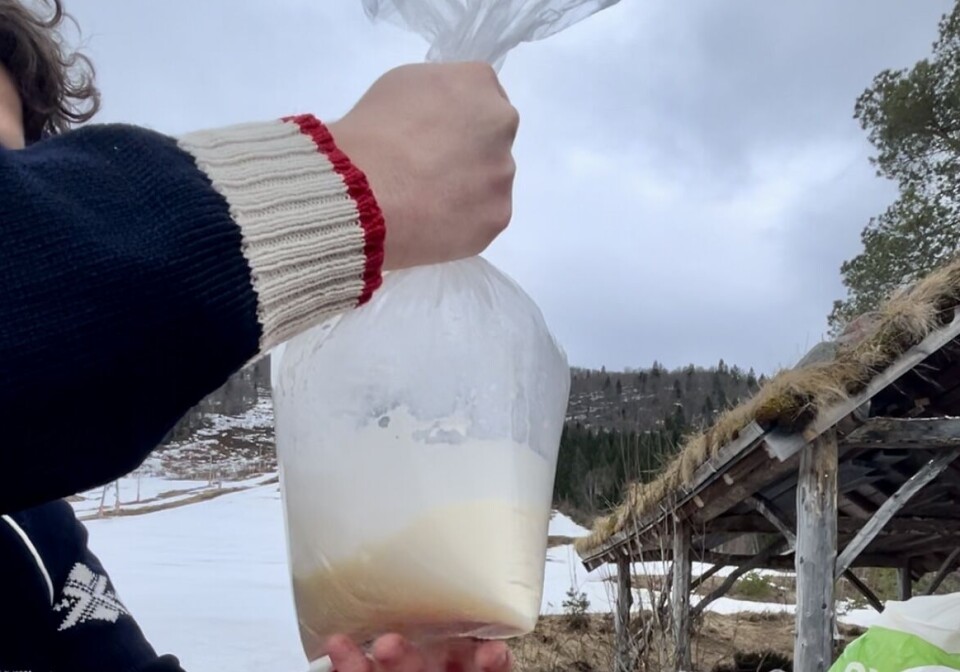 RØRE: Røra er klar og det gjenstår berre å riste den