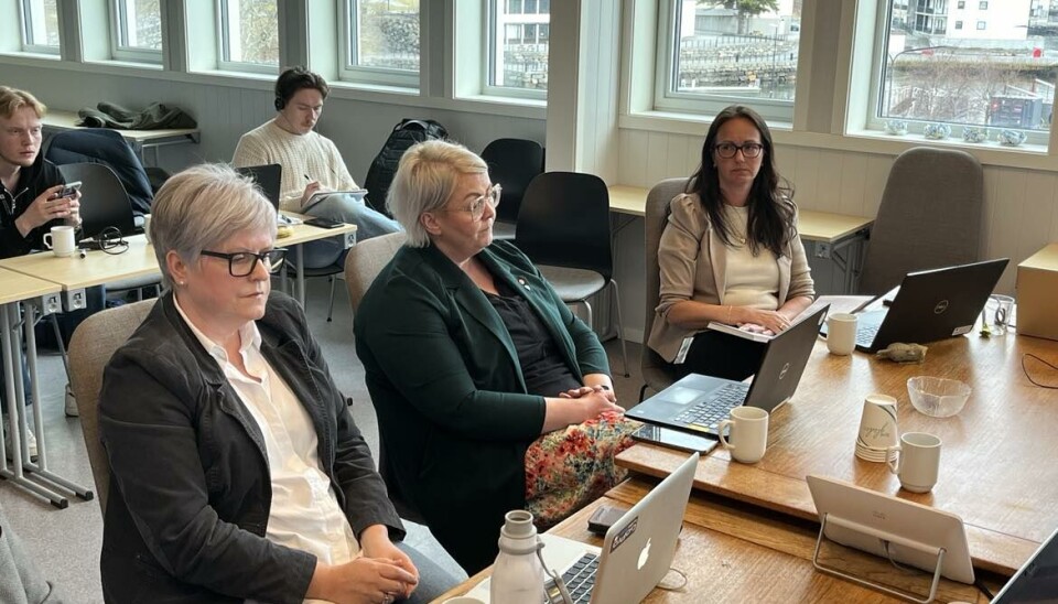 PRINSIPPFAST: Camilla Auflem Vik (midten) under formannskapsmøtet da vedtaket ble diskutert