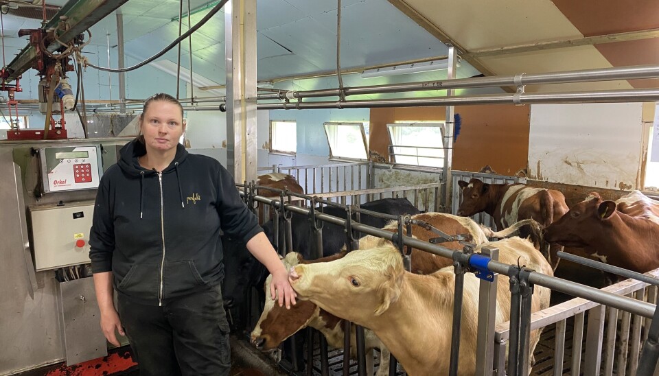 ULOVLIG: Kristine Godø føler seg tvunget til å legge ned gårdsdriften. Hun og mannen har ikke råd til å bygge om fjøset når det blir ulovlig med båsfjøs i 2034.