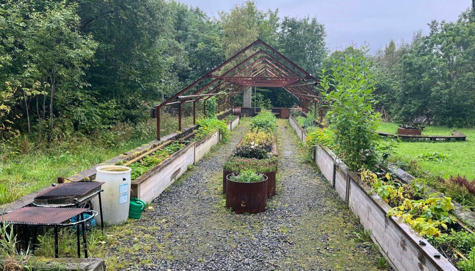 SKIKKELIG: Trivsel i Sentrum vil at kommunen tar bedre vare på Elvadalen park, blant annet drivhuset der