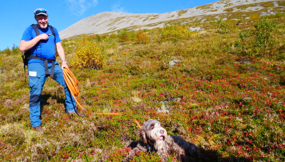 Dag Erik Wold (51) har alltid med seg hunden Khano (3) på tur. Her er de på fjelltur i Volda.
