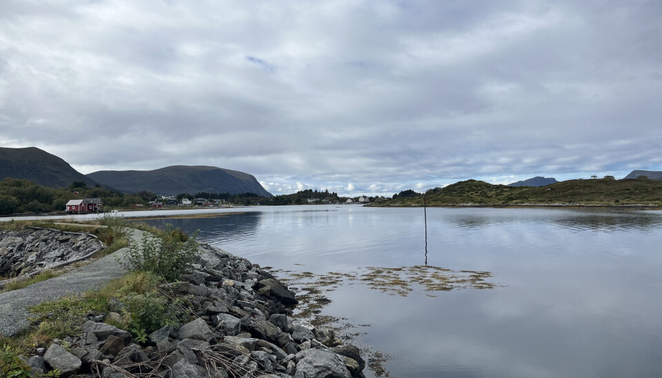 VAKKERT: På vakre Jensholmen i Herøy kommune holder Herøy kajakklubb til.