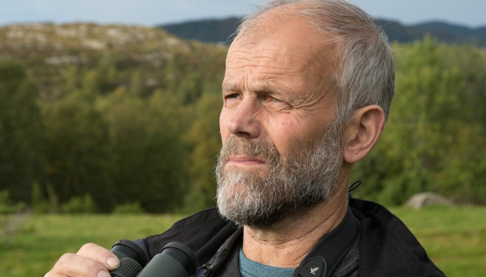 Alv Ottar Folkestad er kongeørnekspert.