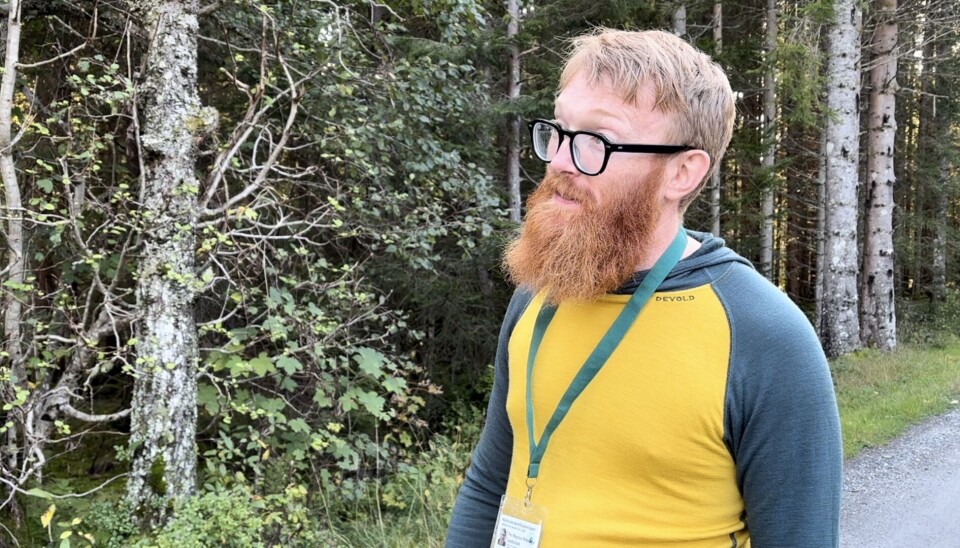 KOMMER MED RÅD: Per Magnus Finnanger i Sunnmøre sopp- og nyttevekstforening råder alle til å gjøre nøye vurderinger av soppen man plukker i skogen.