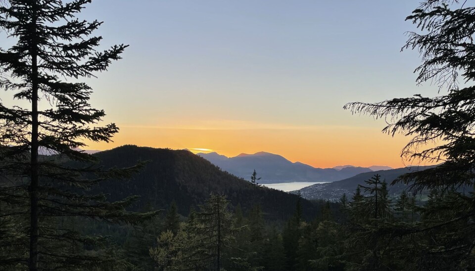 TODELT: Å være ny student i Volda kan både føles lyst og lett, eller mørkt og tungt.