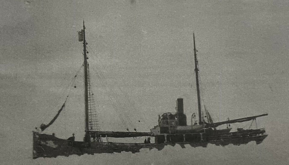 DS SÆLBARDEN: Herøy-skuta var mange turar i Vesterisen og Kvitsjøen, og det var nettopp i Kvitsjøen at den forliste 4. april 1927 med nesten 3000 sel ombord.