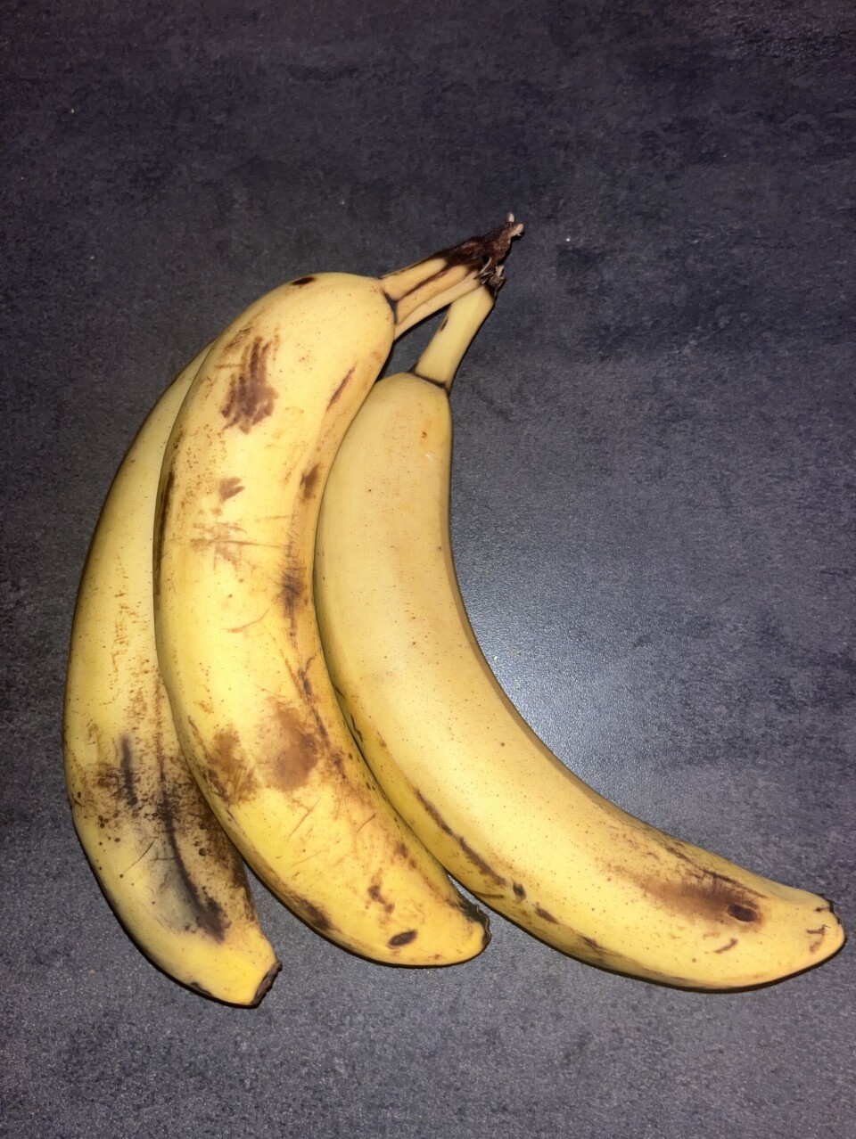 Bananfluenes hemmelighet: fra kjøkkenplage til Nobelpris-vinner