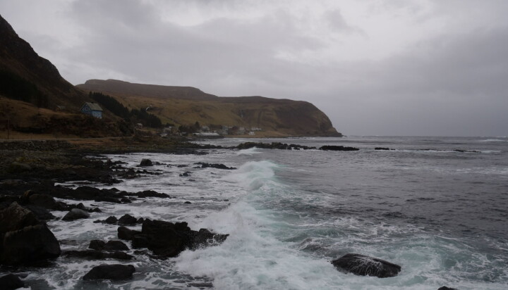 MILJØTILTAK: Herøy tar grep for å bevare sin kystlinje