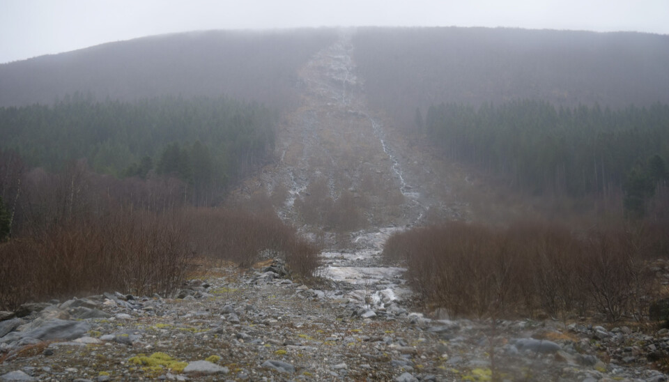 Vartdal: Rastraseen i Årsetdalen