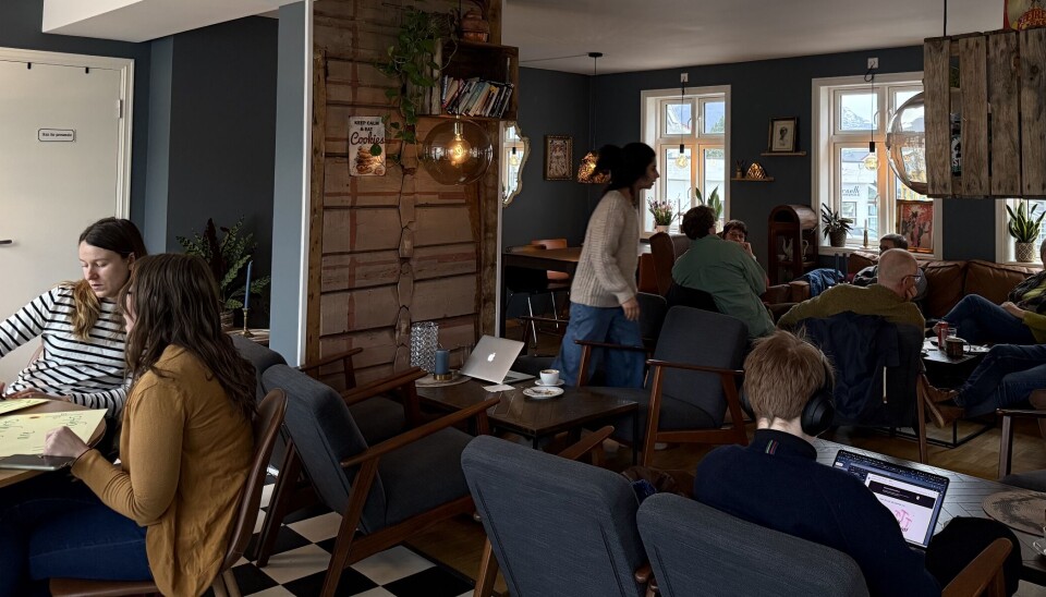 SOSIALT SAMLEPUNKT: Både studenter og lokal befolkningen samles på Fruenes I Volda sentrum.