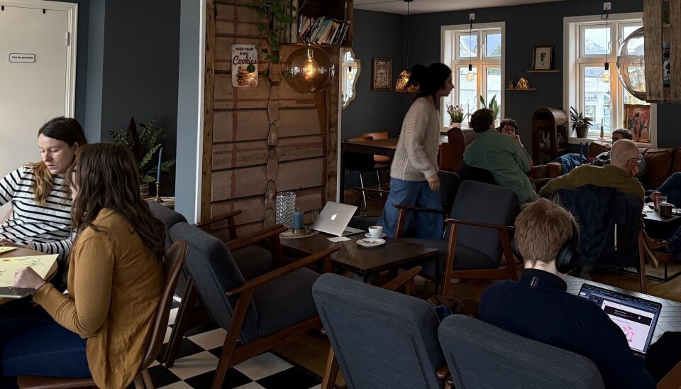 SOSIALT SAMLEPUNKT: Både studenter og lokal befolkningen samles på Fruenes i Volda sentrum.