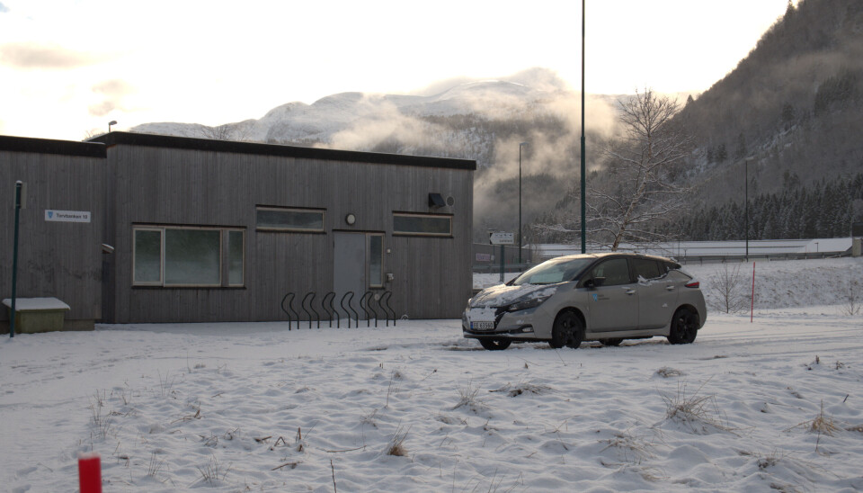 Myra bufellesskap er et av tilbudene Volda kommune gir sine ROP-pasienter.