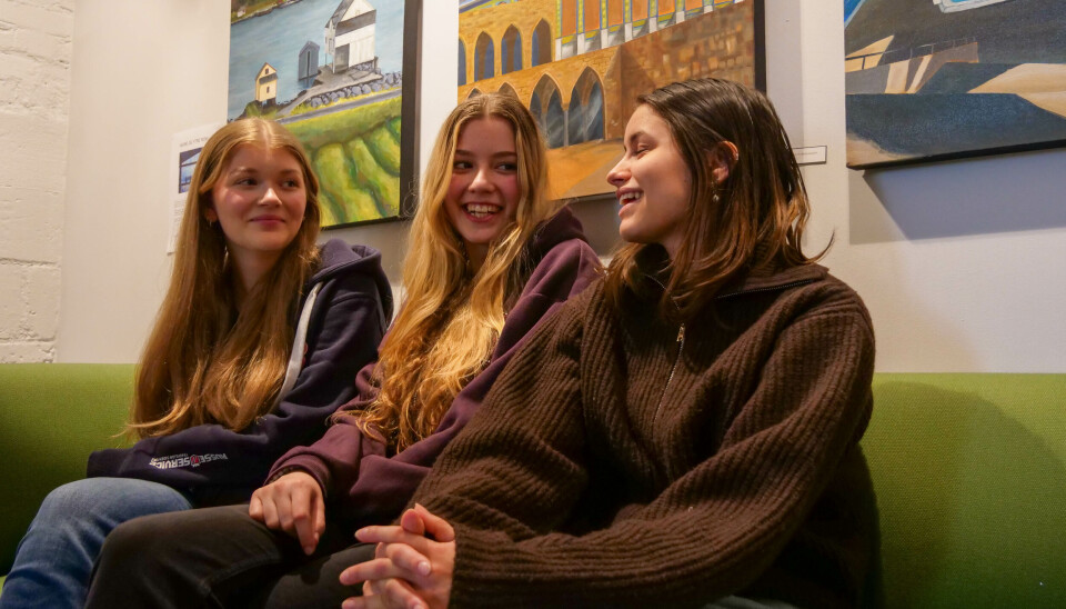 Volda-elever har kunstutstilling i Ørsta: – Vi har hatt frie tøyler