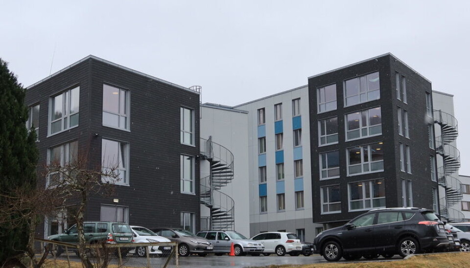 NYE HELTNE: Studentskipnaden skal bygge nye hybler.