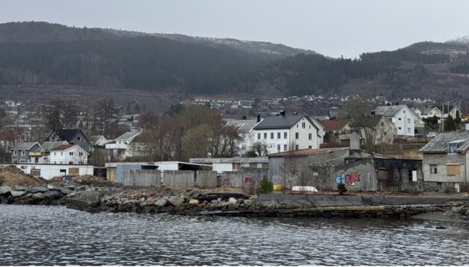 ROTSETFJØRA: Formannskapet etterlyser rydding.