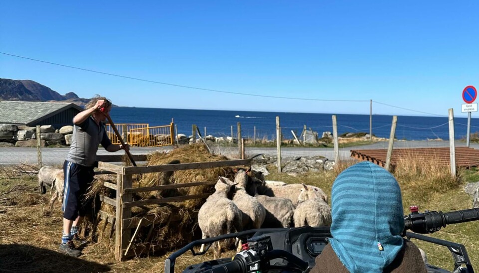 Nærhet til naturen og praktisk tilnærming til omsorgsarbeid etterstrebes ved Bøen Gård. Her er gårdseier Trond Hide i gang med våronna i Gjerdsvika.